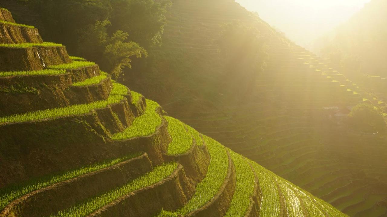 H'Mong Eco House Appartement Lào Cai Buitenkant foto